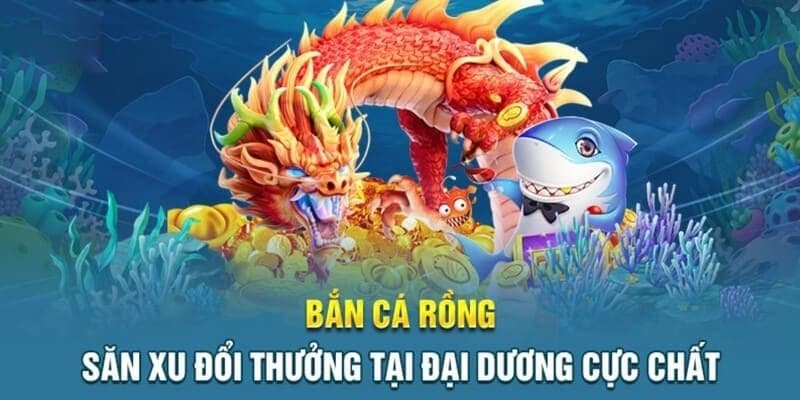 Khám phá các nét thông tin chính về bắn cá rồng